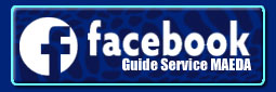 GSM-facebook